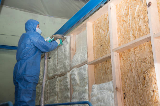 Best Insulation Contractors for Homes  in Cricket, NC